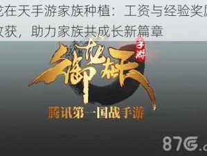 御龙在天手游家族种植：工资与经验奖励双重收获，助力家族共成长新篇章