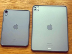 如何确保 iPad mini6 的秘密入口安全？