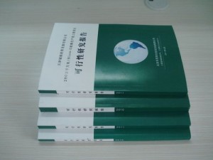 战争与抉择：海滨基地建设的可行性探讨与战略考量