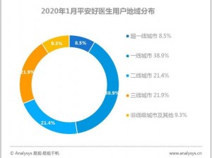 全民装饰品功能与影响全面解析