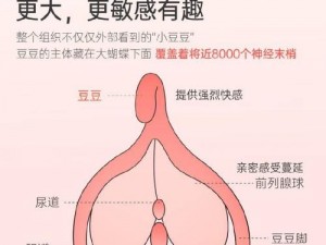 甜性涩爱 bt 极致体验：全新升级，带来前所未有的快感