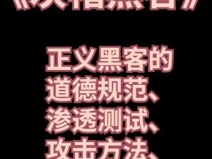 九九九黑客破解家庭网络——安全无忧的网络防护专家