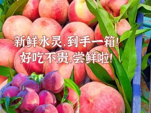 水蜜桃成视频人 app：新鲜采摘的水蜜桃，口感鲜美，富含营养，让你回味无穷