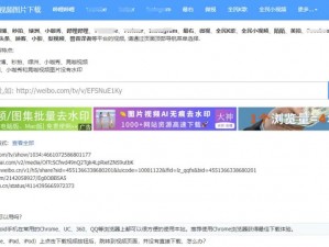 J 啊 vaparserHD 中国，一款功能强大的视频解析工具