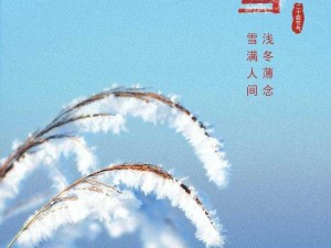 高品质小雪又紧又滑，使用体验绝佳