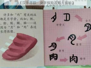 《汉字寻踪：戾字探险攻略大揭秘》