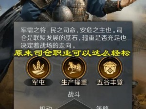 兵临三国：智勇双全组合搭配策略解析