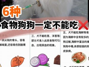 老公不在家狗狗的东西能要吗？高档进口，全新未拆封，限时秒杀