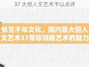 37 大但人文艺术予以点评