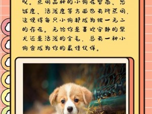 关于我的起源——全面解析加姆犬的图鉴之旅