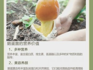 美味营养的玖产玖精国九品，你值得拥有