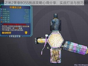 无主之地2第章BOSS挑战攻略心得分享：实战打法与技巧解析