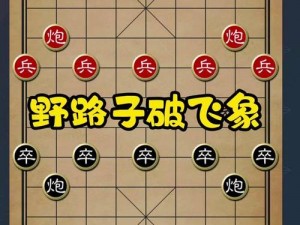 揭秘象棋必胜攻略：全面解析大师级的智慧战术秘籍