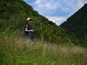 我在野外截取一段视频，带你领略大自然的壮丽美景