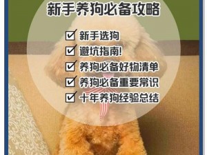 字母圈养狗教程：专业养狗人士必备的知识和技巧