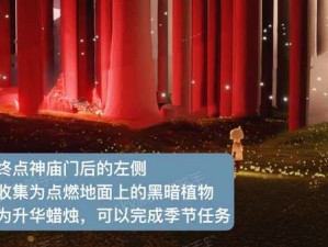 光遇红石碎片位置攻略：探秘428区域红石碎片藏身之处