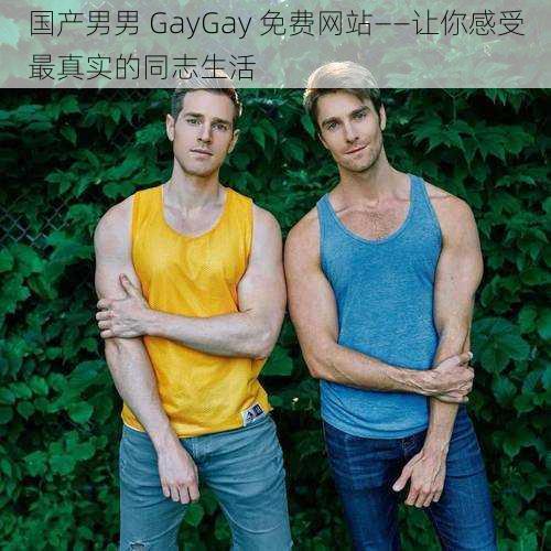 国产男男 GayGay 免费网站——让你感受最真实的同志生活