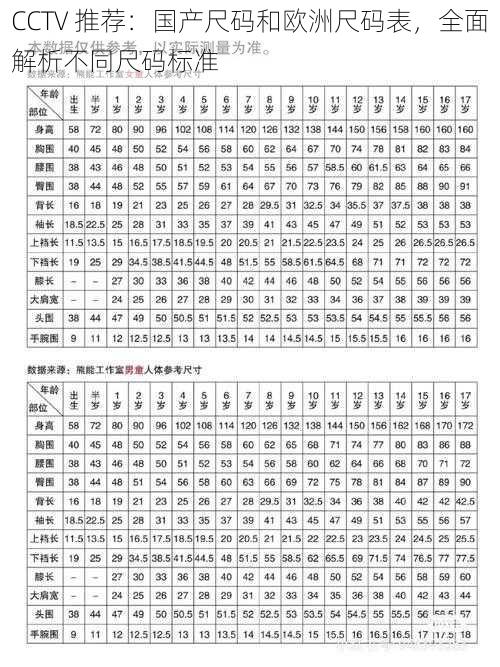 CCTV 推荐：国产尺码和欧洲尺码表，全面解析不同尺码标准