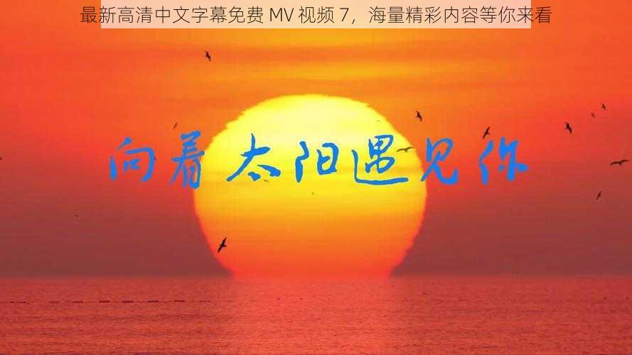 最新高清中文字幕免费 MV 视频 7，海量精彩内容等你来看