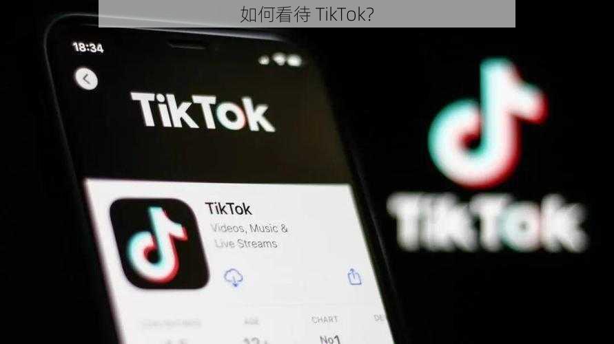 如何看待 TikTok？