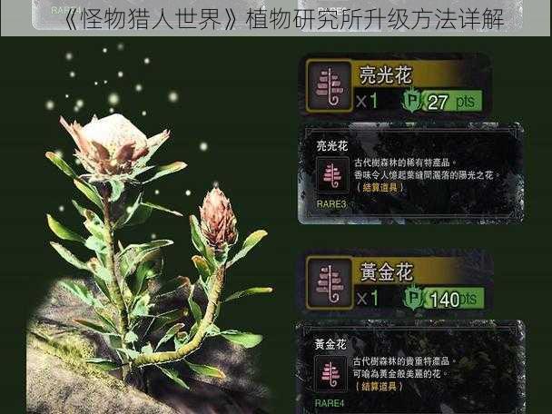 《怪物猎人世界》植物研究所升级方法详解