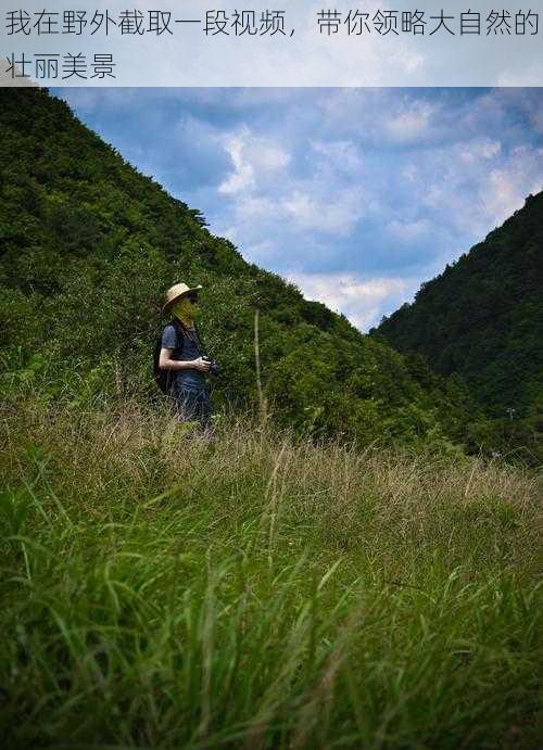 我在野外截取一段视频，带你领略大自然的壮丽美景