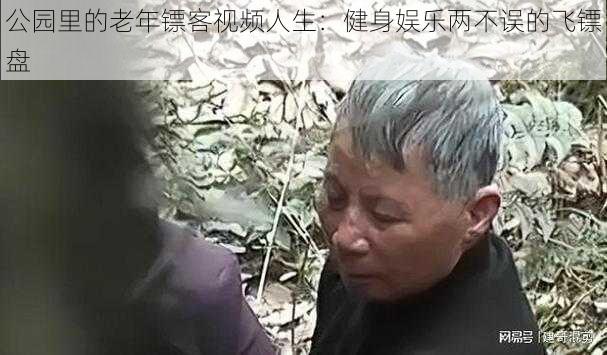 公园里的老年镖客视频人生：健身娱乐两不误的飞镖盘