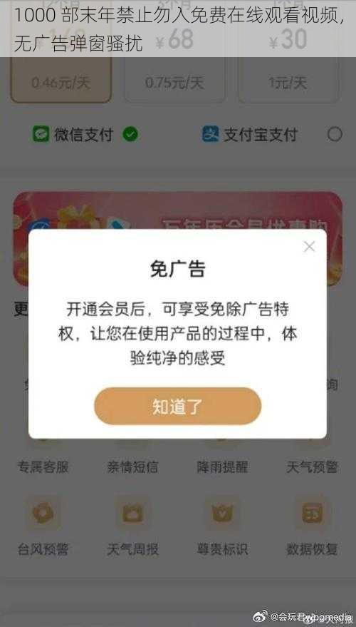 1000 部末年禁止勿入免费在线观看视频，无广告弹窗骚扰