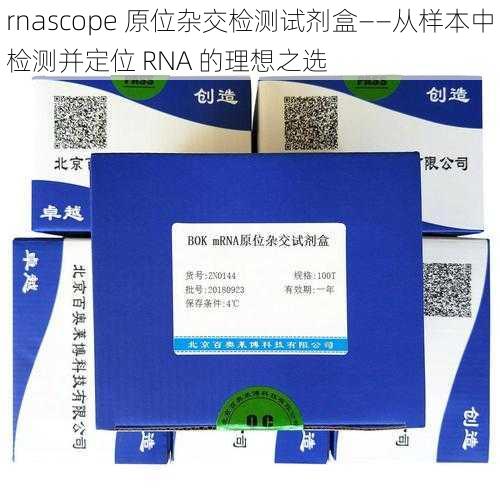 rnascope 原位杂交检测试剂盒——从样本中检测并定位 RNA 的理想之选