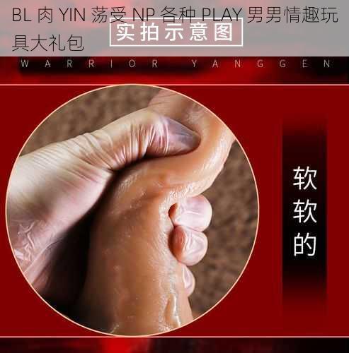 BL 肉 YIN 荡受 NP 各种 PLAY 男男情趣玩具大礼包