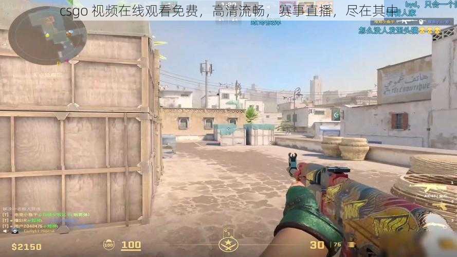 csgo 视频在线观看免费，高清流畅，赛事直播，尽在其中