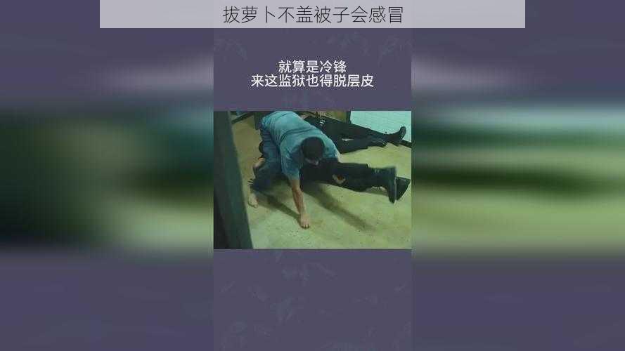 拔萝卜不盖被子会感冒