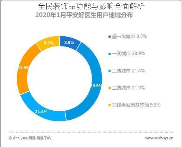 全民装饰品功能与影响全面解析