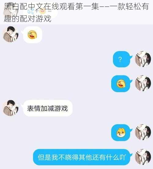 黑白配中文在线观看第一集——一款轻松有趣的配对游戏