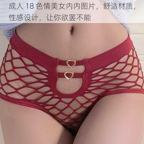 成人 18 色情美女内内图片，舒适材质，性感设计，让你欲罢不能