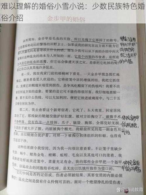 难以理解的婚俗小雪小说：少数民族特色婚俗介绍