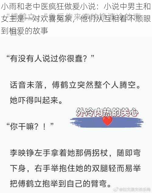 小雨和老中医疯狂做爰小说：小说中男主和女主是一对欢喜冤家，他们从互相看不顺眼到相爱的故事