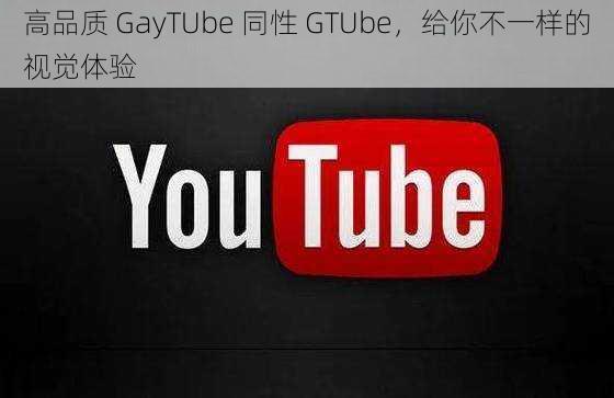 高品质 GayTUbe 同性 GTUbe，给你不一样的视觉体验