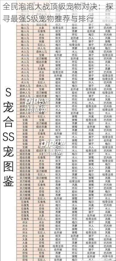 全民泡泡大战顶级宠物对决：探寻最强S级宠物推荐与排行