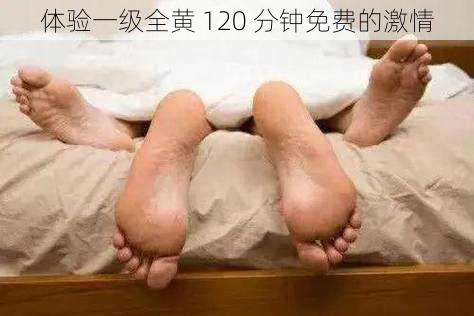 体验一级全黄 120 分钟免费的激情