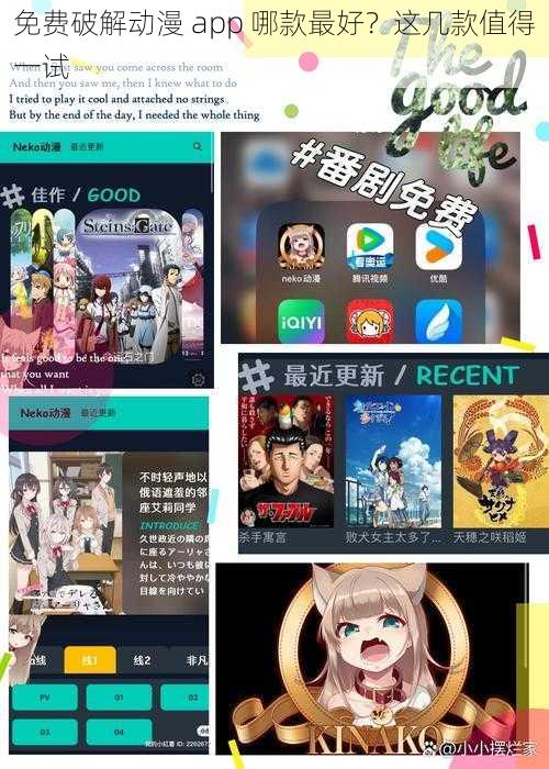 免费破解动漫 app 哪款最好？这几款值得一试