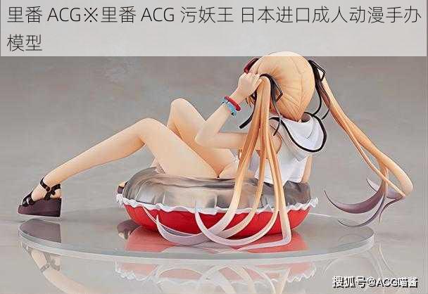 里番 ACG※里番 ACG 污妖王 日本进口成人动漫手办模型