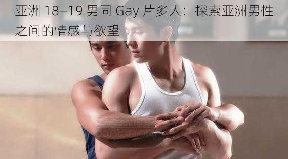 亚洲 18—19 男同 Gay 片多人：探索亚洲男性之间的情感与欲望