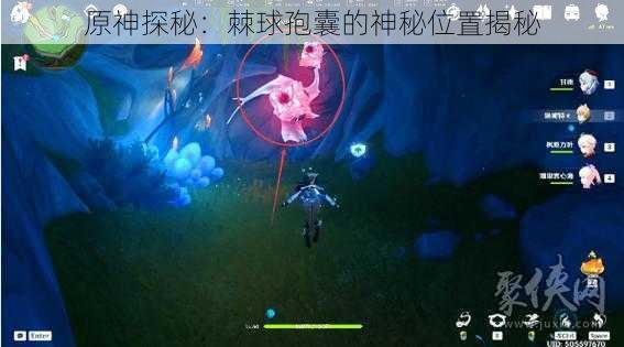 原神探秘：棘球孢囊的神秘位置揭秘