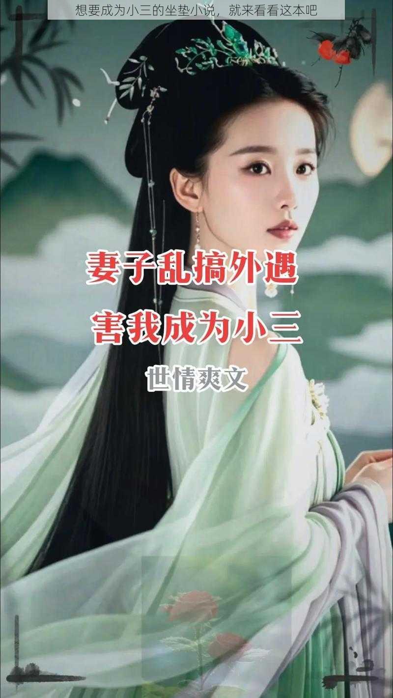 想要成为小三的坐垫小说，就来看看这本吧