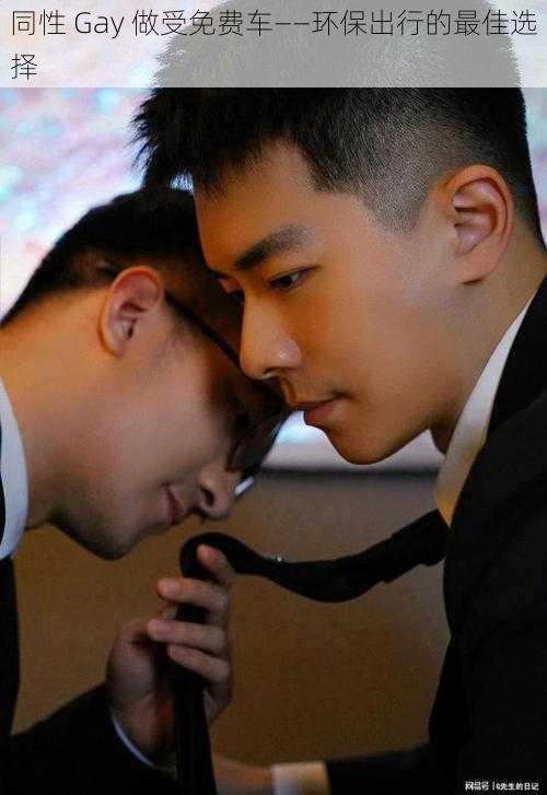 同性 Gay 做受免费车——环保出行的最佳选择