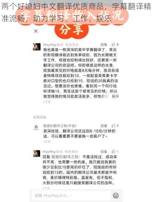 两个好媳妇中文翻译优质商品，字幕翻译精准流畅，助力学习、工作、娱乐