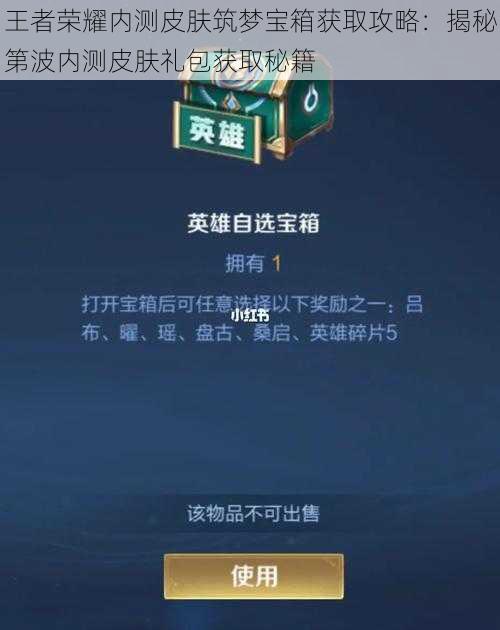 王者荣耀内测皮肤筑梦宝箱获取攻略：揭秘第波内测皮肤礼包获取秘籍