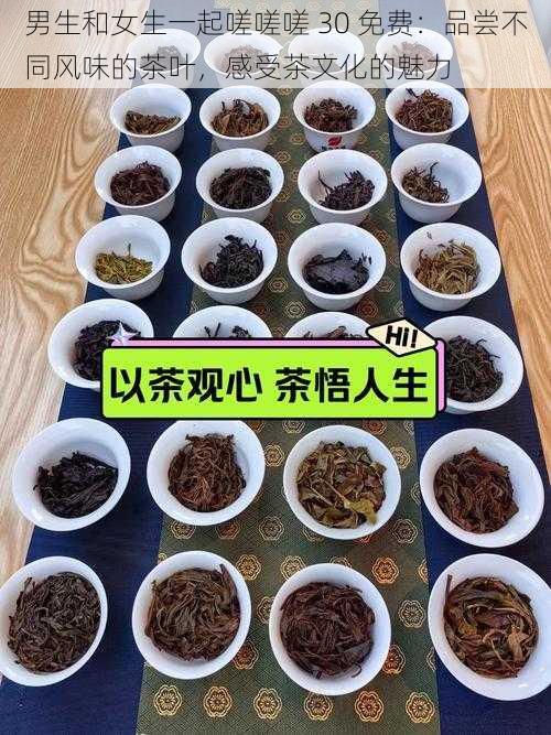 男生和女生一起嗟嗟嗟 30 免费：品尝不同风味的茶叶，感受茶文化的魅力