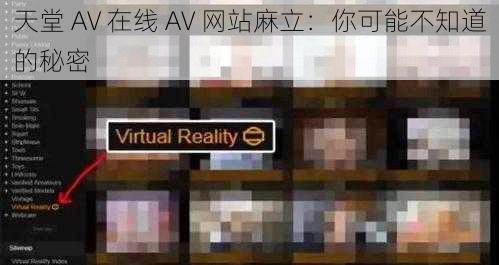 天堂 AV 在线 AV 网站麻立：你可能不知道的秘密